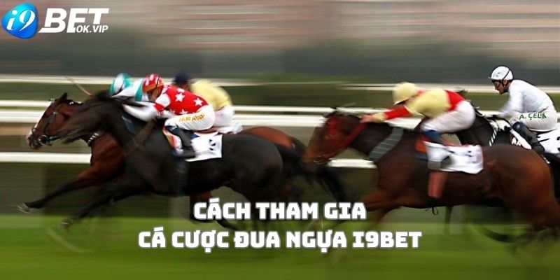 Hướng dẫn chơi cá cược đua ngựa i9Bet 