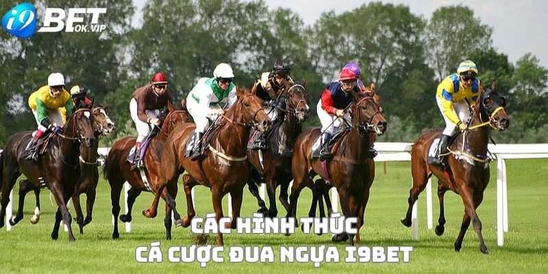 Các hình thức cá cược Đua Ngựa i9Bet đỉnh cao 