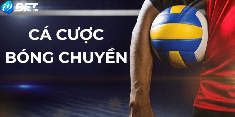 Cá cược bóng chuyền