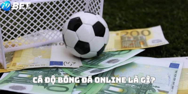 Cá độ bóng đá online là gì?