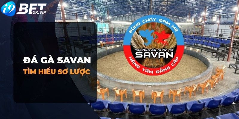 Đôi nét khái quát về trường gà Savan