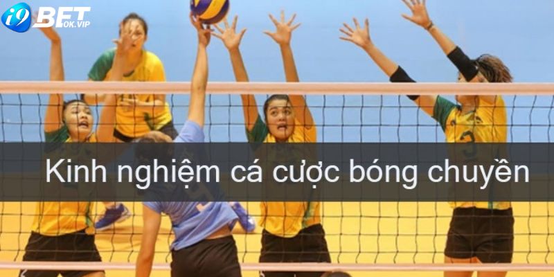 Kinh nghiệm cá cược bóng chuyền cực hay như cao thủ