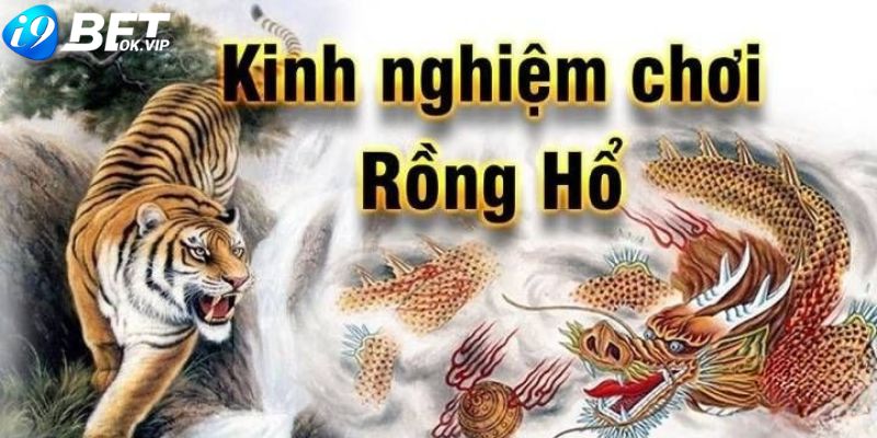 Mẹo soi cầu Rồng Hổ cực chuẩn