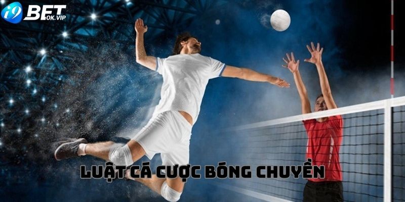 Luật chơi cá cược bóng chuyền cơ bản bạn cần biết