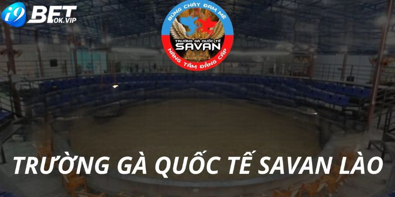 Trường gà Savan ở đâu?