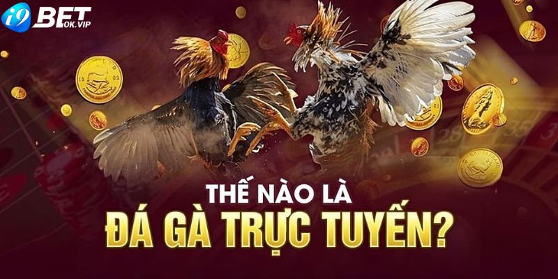 Giới thiệu chung về đá gà trực tuyến