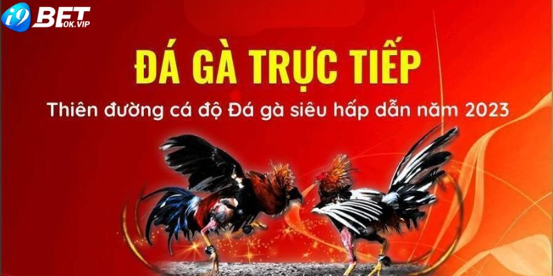 Đá gà trực tiếp