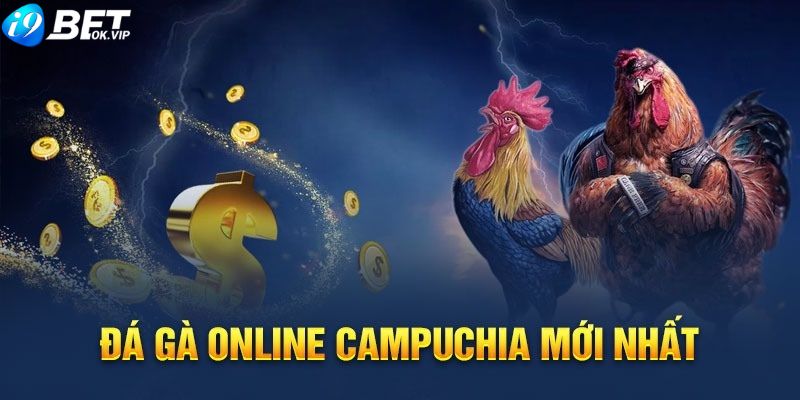 Giới thiệu đá gà Campuchia